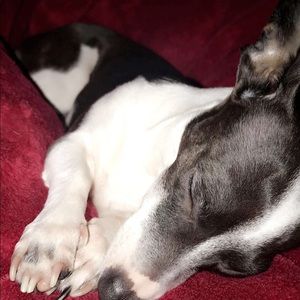 Meet your Posher, Becca